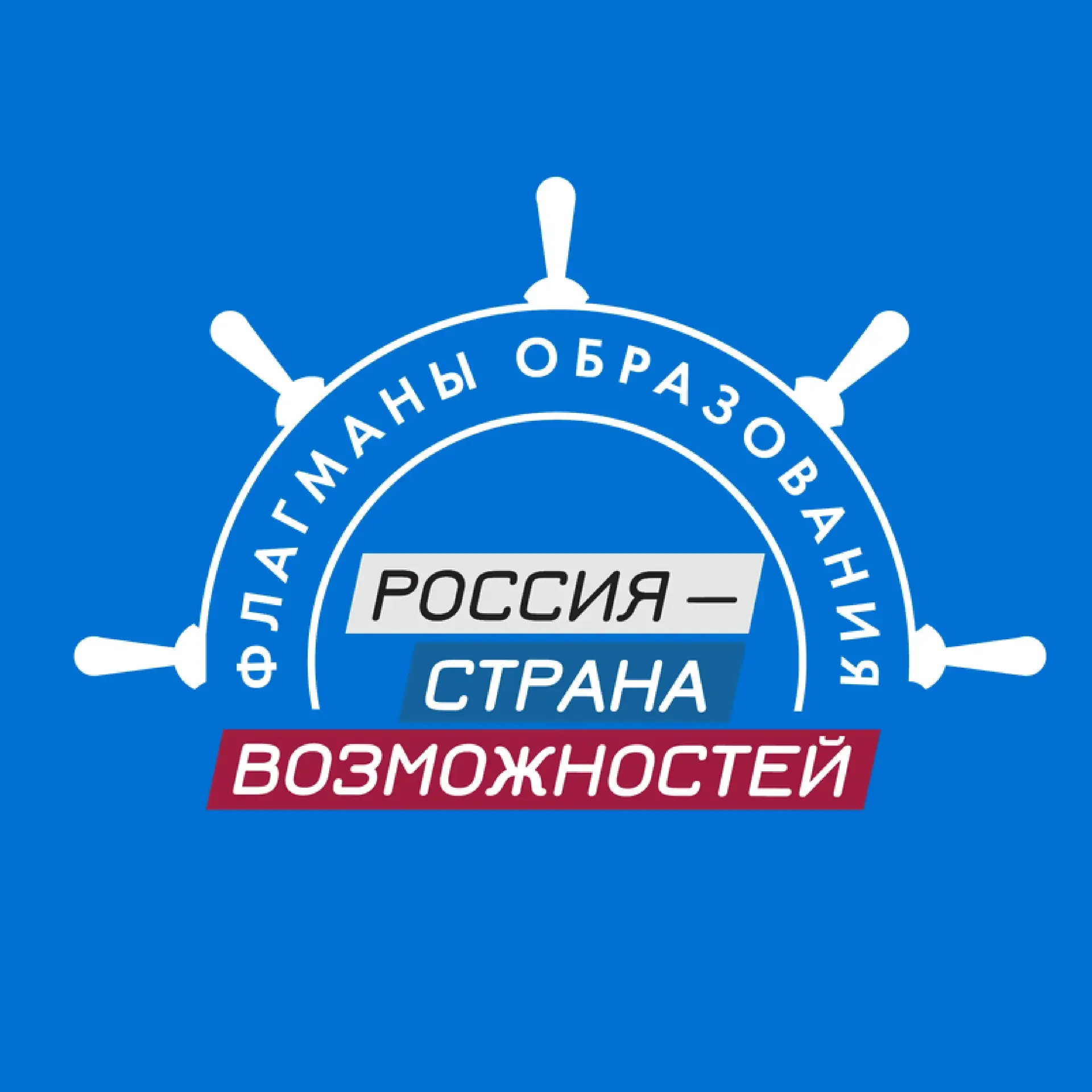 Флагманы образования
