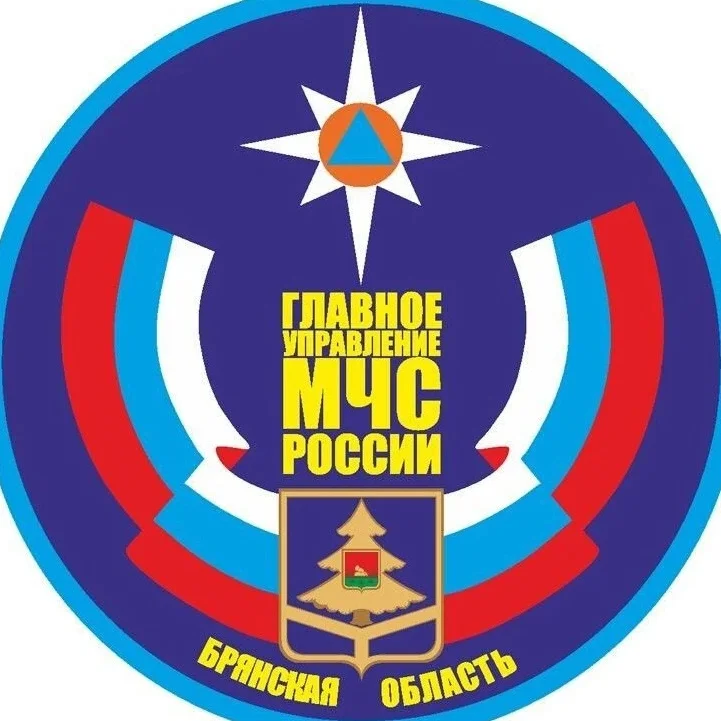 МЧС Брянской области