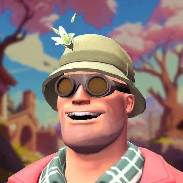 Team Fortress 2 🌿