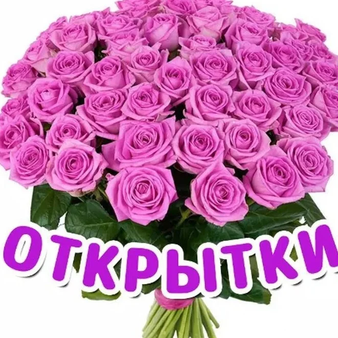 Поздравления и открытки